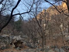 -北京鹫峰国家森林公园