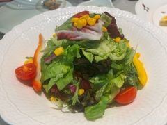 田园蔬菜沙拉-船歌·鱼水饺青岛菜(太阳宫凯德MALL店)