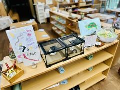 -硅谷蒙学幼儿园