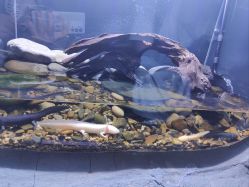 -Zoolung Zoolung动物主题公园(海信广场店)