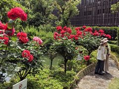 -上海虹桥宾馆味翠餐厅