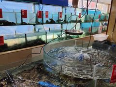 -南庄酒家·海鲜粤菜·25年老字号(环城南路店)