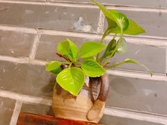-赖扁担重庆小面(友谊路店)