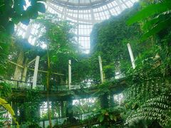 -昆明植物园