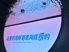 -海底捞大排档火锅(打浦路店)