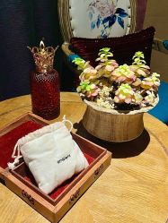 -娇玫荟SPA