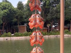 -大千天鹅湖庄园