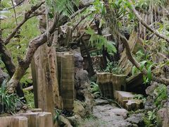 -南通洲际绿博园