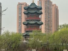 -迎泽公园