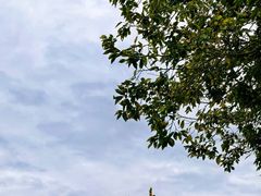 -胡里山炮台