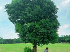 -山明水秀大饭店