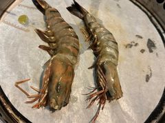 -熊出没日本烧肉放题