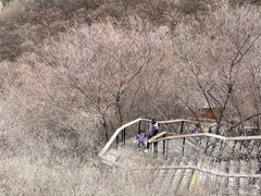 -黑龙潭风景区