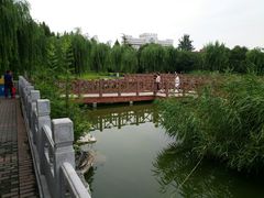 -丰台科技园生态主题公园