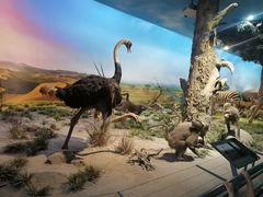 -国家自然博物馆