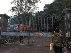-金鸡山公园