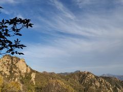 -大岭沟猕猴桃谷风景区