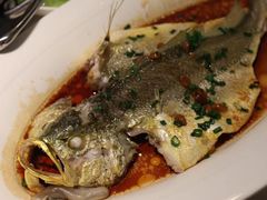-维园悦谱·海派家常菜(乌鲁木齐南路店)
