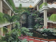 -广州白天鹅宾馆