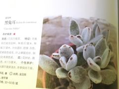 -默迹咖啡馆