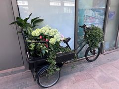 -JamaicaBlue(新城国际店)