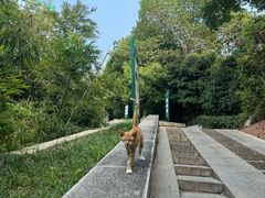 -白沙古井