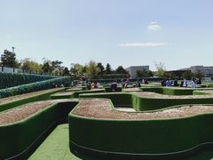 -莫子山公园