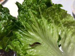 -东北烤肉(钟鼎名悦店)
