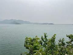 -望湖烤鱼