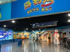 -海合安武汉极地海洋公园