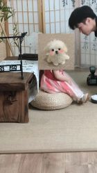 -玛瑞莎专业孕妇摄影(越秀店)