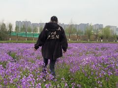 -汉长安城未央宫国家考古遗址公园