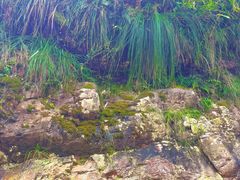 -安吉龙王山峡谷漂流