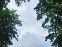-厦门园林博览苑