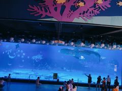 -烟台海昌鲸鲨海洋公园