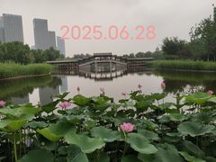 -西海子公园