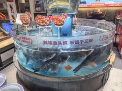 -魏铭鱼头捞饭(晋阳路店)