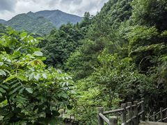 -浙北大峡谷