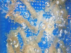 -南蚝小贝海鲜特色餐厅(南澳岛店)