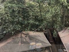 -素描餐厅(灵隐天竺店)