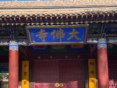 -张掖大佛寺景区