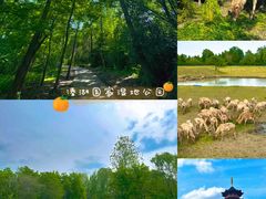 -溱湖国家湿地公园