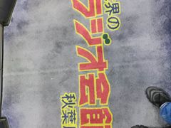 -秋叶原电器街