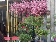 -观盐·盐帮菜(官园桥店)