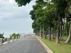 -深圳湾公园(南山区)