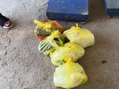 -马陆小张葡萄园农家乐