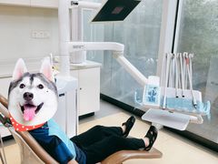 -泰康拜博口腔(松江印象城臻尔店)