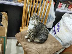 -华联超市(定边路店)