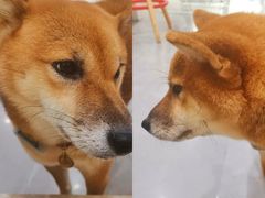 -NOTBAD 须时·咖啡馆