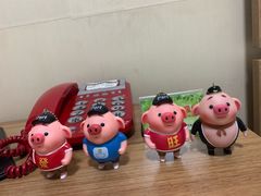 -明珠湖天鹅苑·农家菜馆